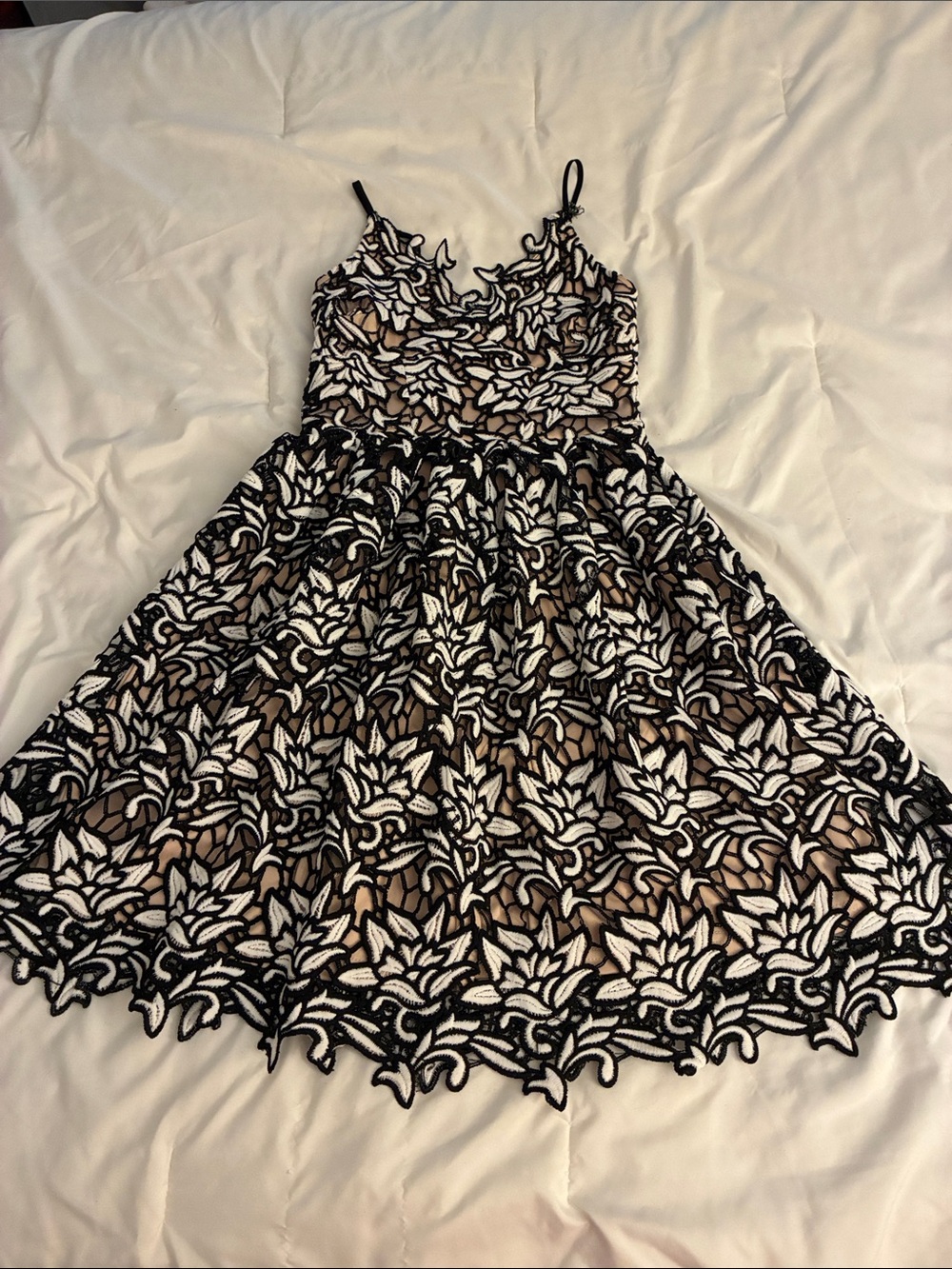 Black & White Lace Fit-and-Flare Dress
